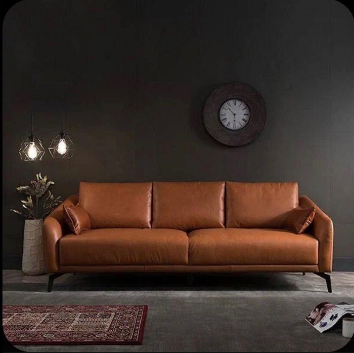 Sofa Don Dai Co Tua