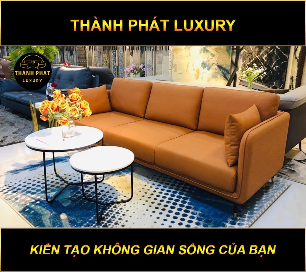 Sofa Dong Nai 2
